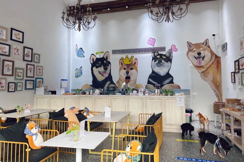 身邊的美學(xué)空間 蘇州這幾處公共文化體驗(yàn)空間，文藝小資且充滿藝術(shù)靈感